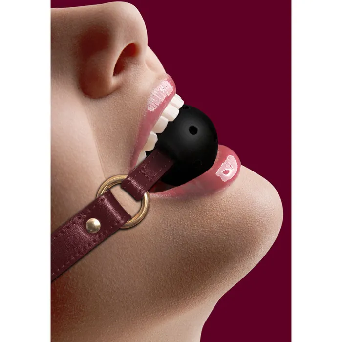 Couples | Shots Toys OUCH! Halo - Breathable Ball Gag - Burgundy Mouth Restraint Couples | Shots Toys OUCH! Halo - Breathable Ball Gag - Burgundy Mouth Restraint