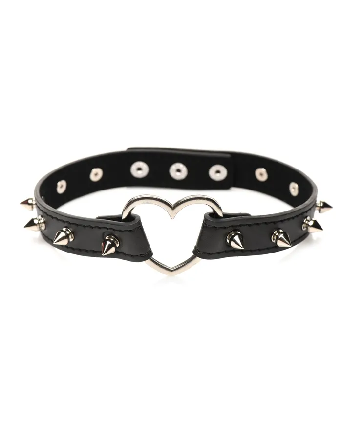 Anal Xr LLC Master Series Spiked Heart Choker