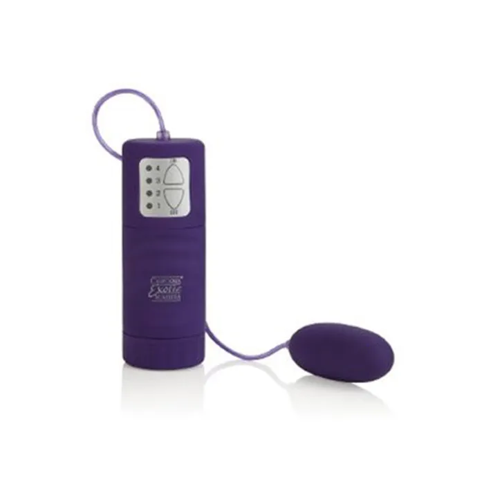 Female Sex Toys Cal Exotics Pocket Exotics Waterproof Bullet Female Sex Toys Cal Exotics Pocket Exotics Waterproof Bullet