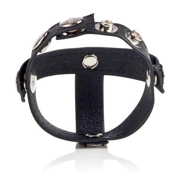 Couples California Exotic Novelties Colt Leather Hpiece Divider