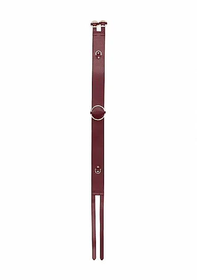 Female Sex Toys SHOTS AMERICA Ouch Halo Waist Belt LXL in Burgundy